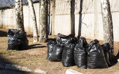 How a spring cleanup can make or break your yard.