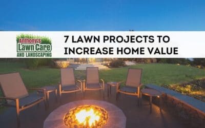 7 lawn projects to increase curb appeal and home value