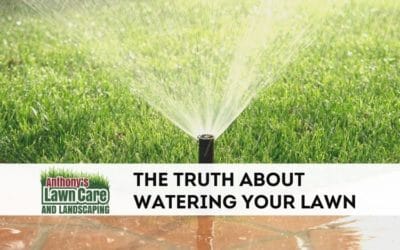 The Real Scoop on When and How To Water Your Lawn