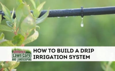 Setting up your own drip irrigation for a garden