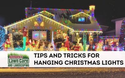 Tips and tricks for hanging Christmas lights