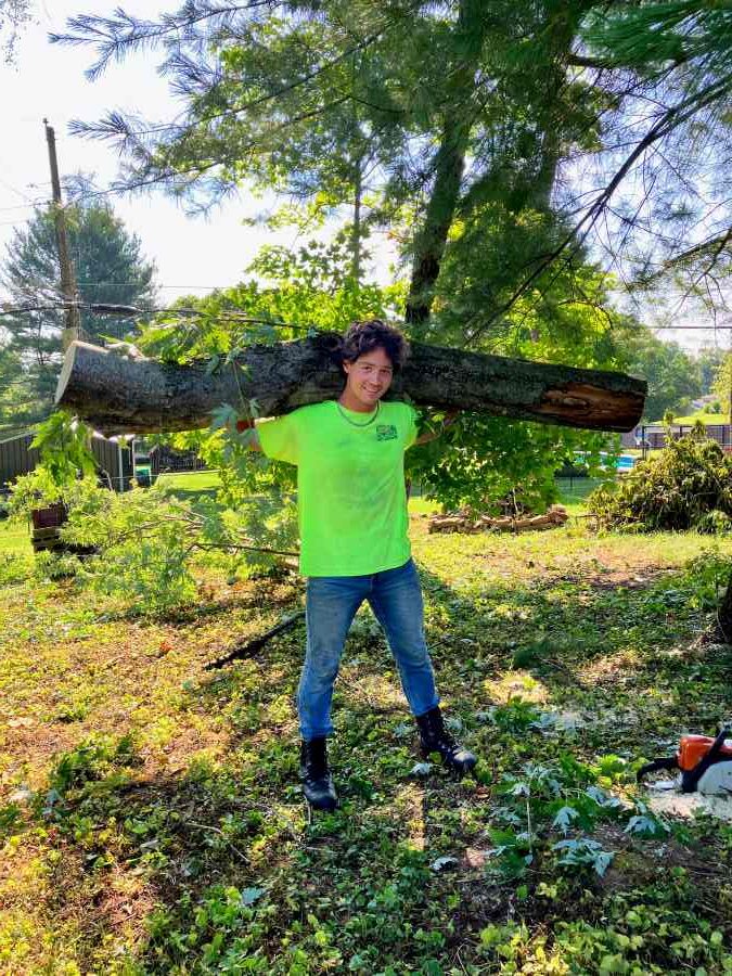 A young man from Anthony's Tree Service carries a large tree stump on his shoulders