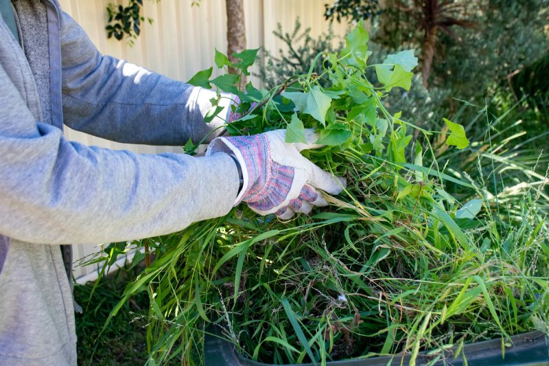 man doing garden clean up putting green waste into