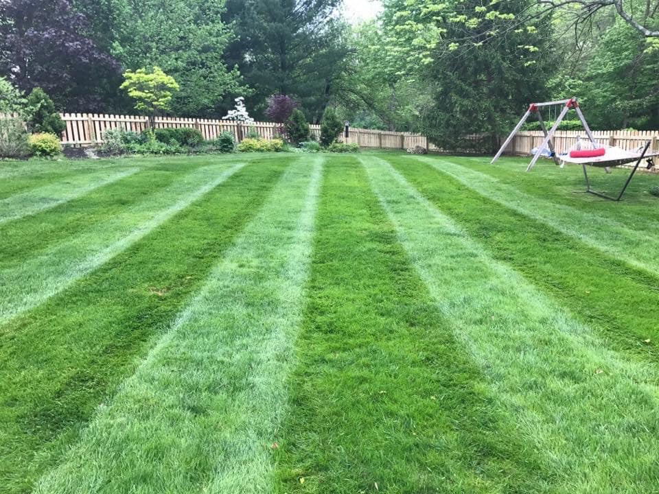 Perfectly Mowed Lawn with lines